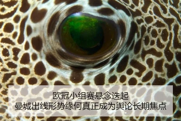 欧冠小组赛悬念迭起 曼城出线形势缘何真正成为舆论长期焦点